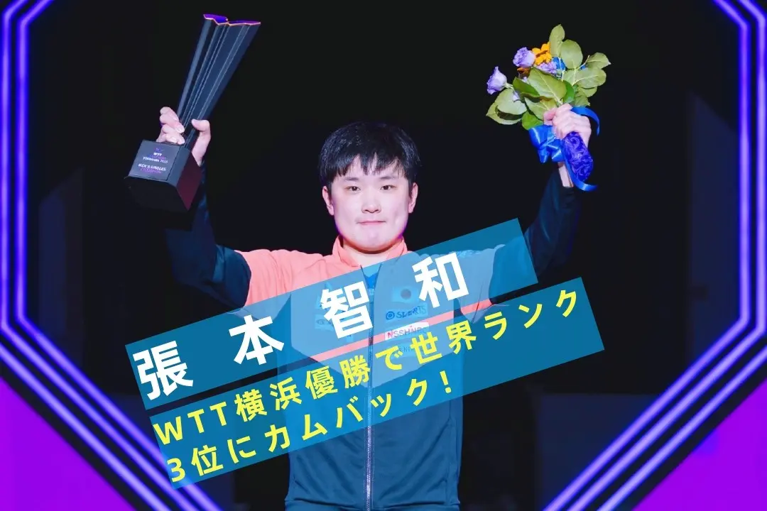 entit, 张安, stron entit, 张安, stron